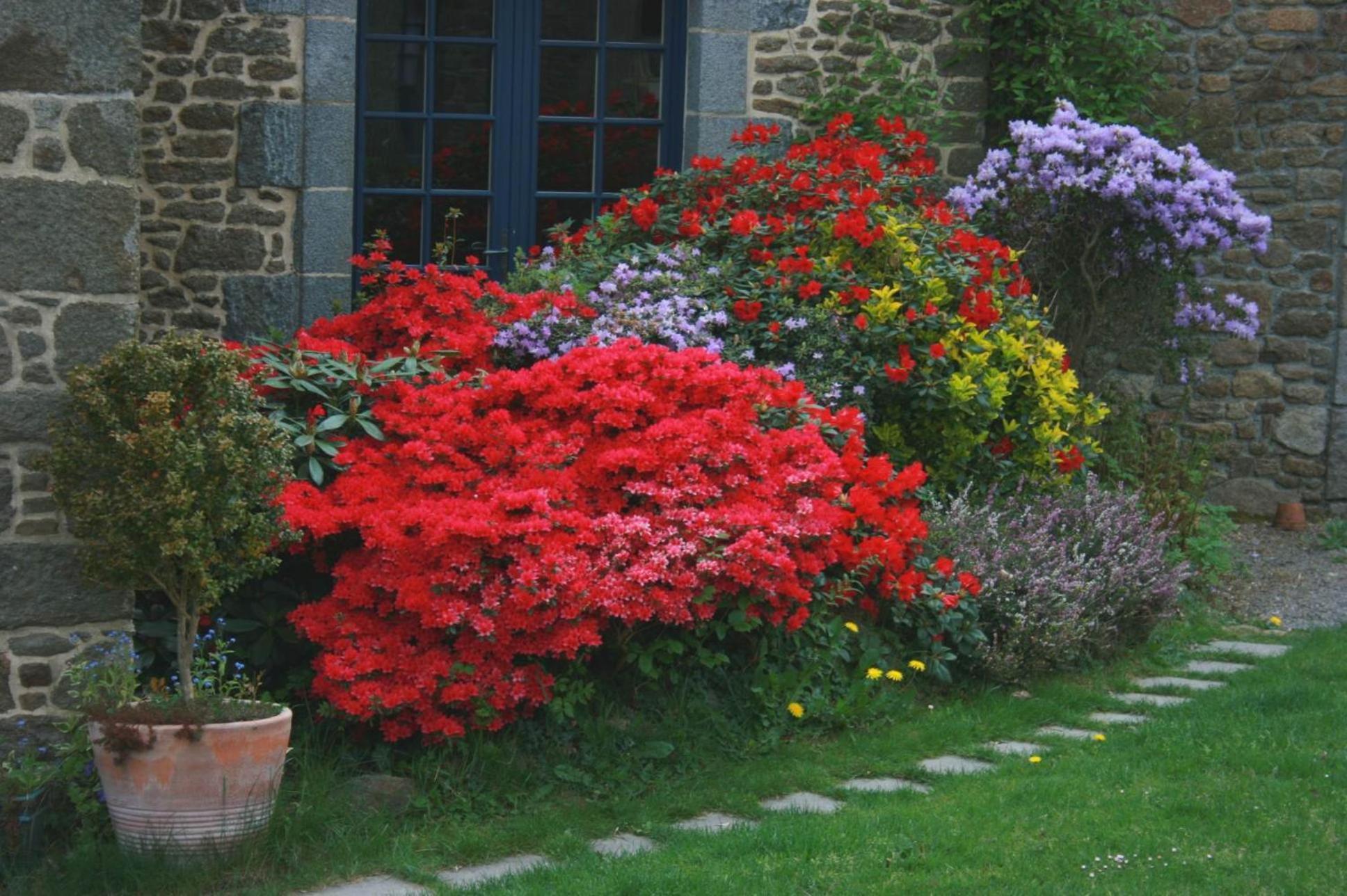 Au Pont Ricoul Bed and Breakfast Saint-Pierre-de-Plesguen Εξωτερικό φωτογραφία