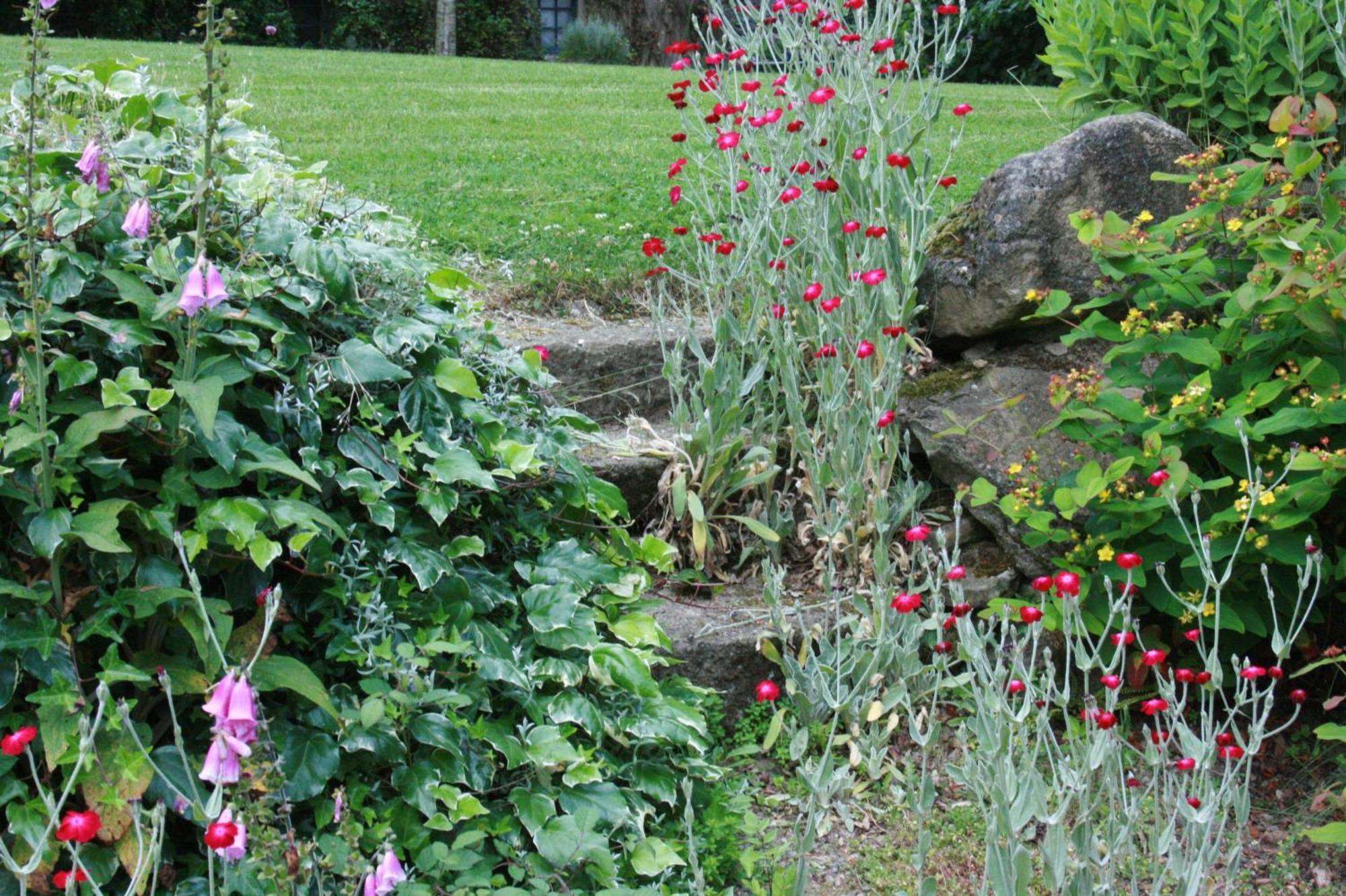 Au Pont Ricoul Bed and Breakfast Saint-Pierre-de-Plesguen Εξωτερικό φωτογραφία