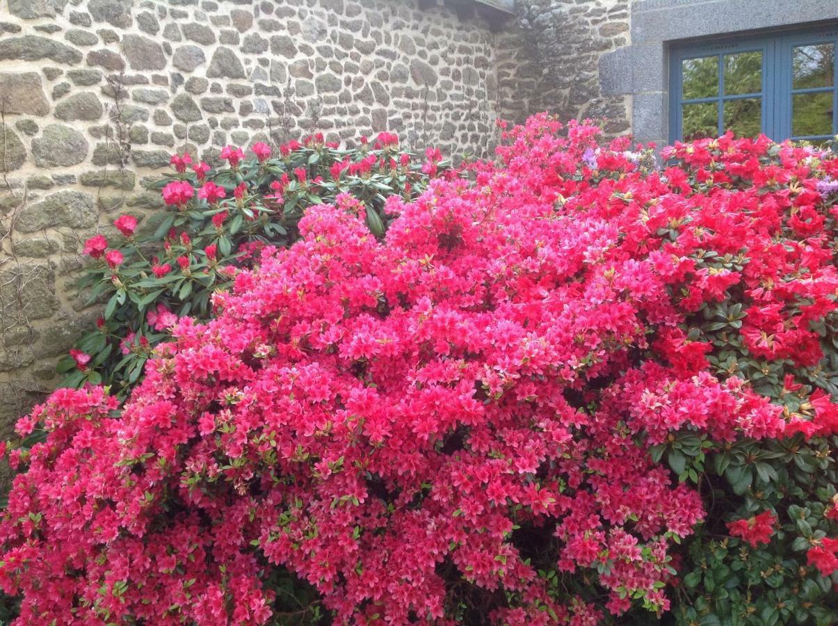Au Pont Ricoul Bed and Breakfast Saint-Pierre-de-Plesguen Εξωτερικό φωτογραφία